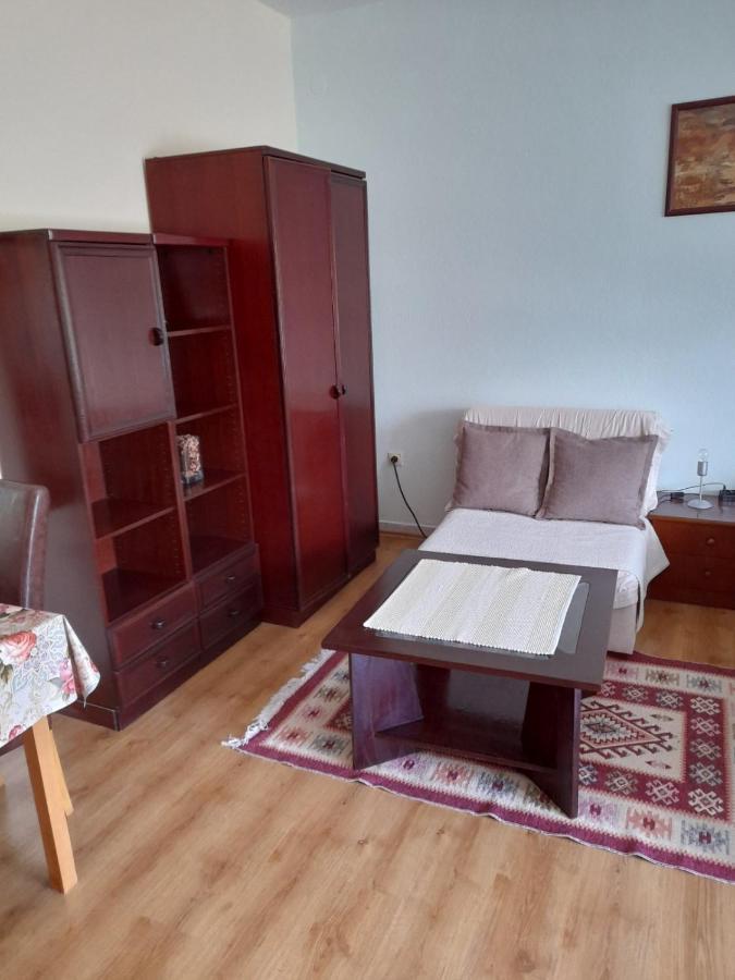 Apartment Mirjana バニャ・ルカ エクステリア 写真